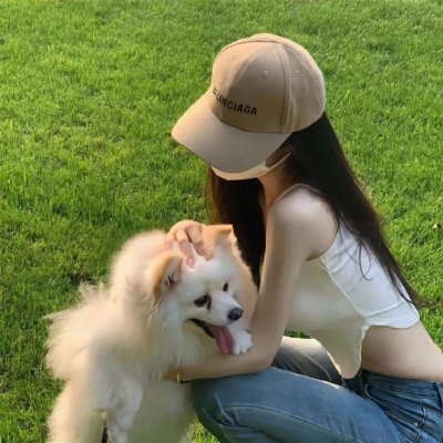 屋顶上的猫